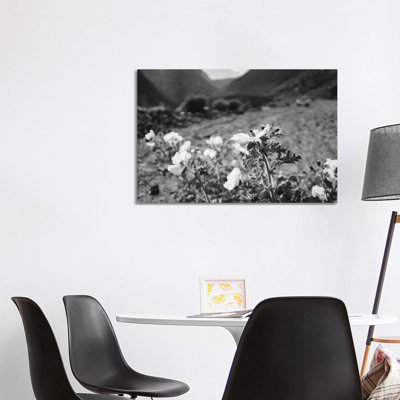 Monochrome Yosemite Blooms II by Bethany Young - Print on Canvas