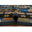 Superbe tapis Kilim 5 x 7 avec un style audacieux et brillant