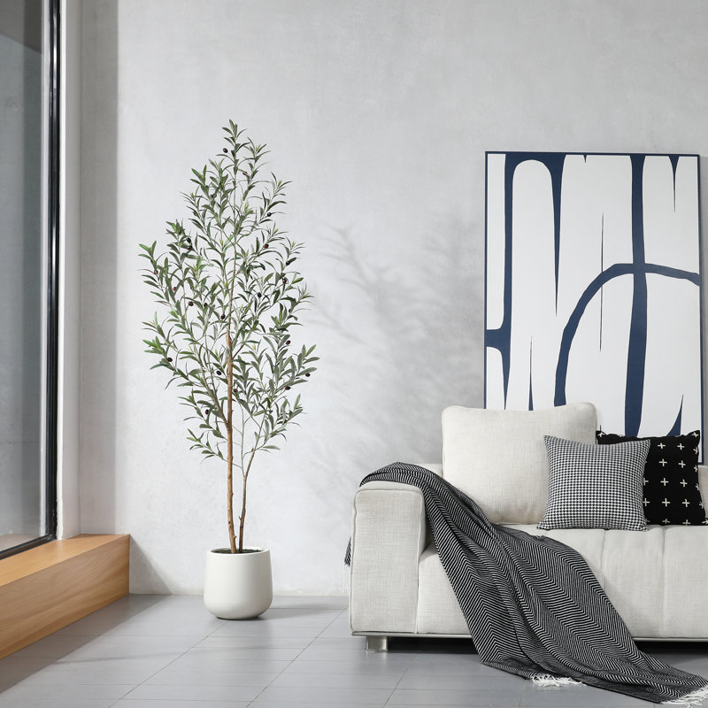 Adcock 72" Artificial Olive Tree with White Planter, Tall Faux Olive Trees with Natural Wood Trunk, 72" H x 24" W x 24" D