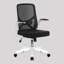 Romanzi Office Chair-411533414