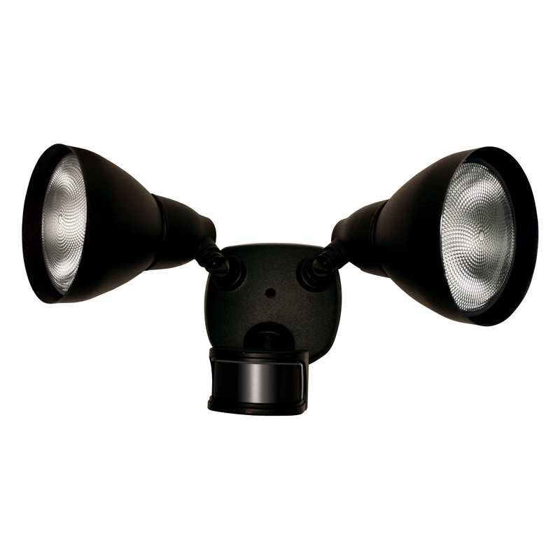 Projecteur d'extérieur avec détecteur de mouvement Dusk to Dawn, Noir