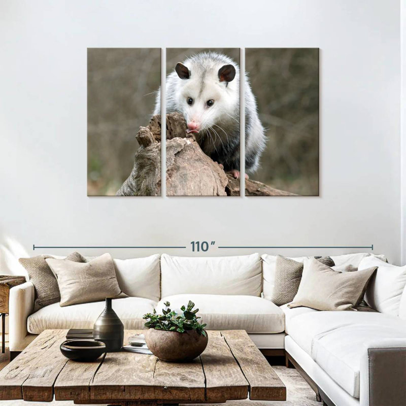 Bramble opossum, H 48 po x l 74 po