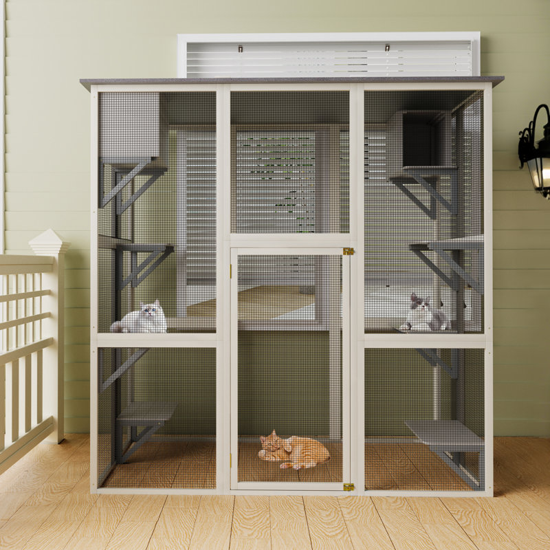 Enceinte d'extérieur pour chat en bois gris, toit en asphalte, 6 plateformes, 2 espaces de sieste, - Design centré