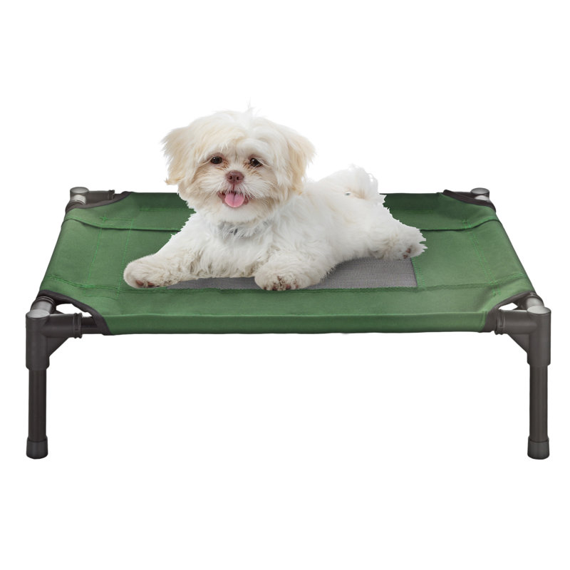 Lit surélevé pour chien PETMAKER 62 x 47 cm - Lit pour petits chiens, vert, Petit (l 24 po x P 18 po x H 7 po), Vert