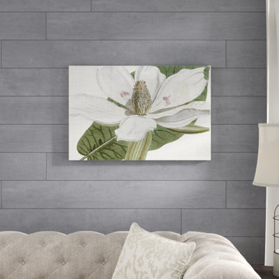 Curtis Magnolia II - Wrapped Canvas Painting Print