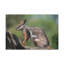 Wall Art on Canvas-1538926205