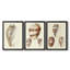 Splendid Shells IV - Toile tendue avec châssis sur mesure - 3 pièces-117231199-117231201