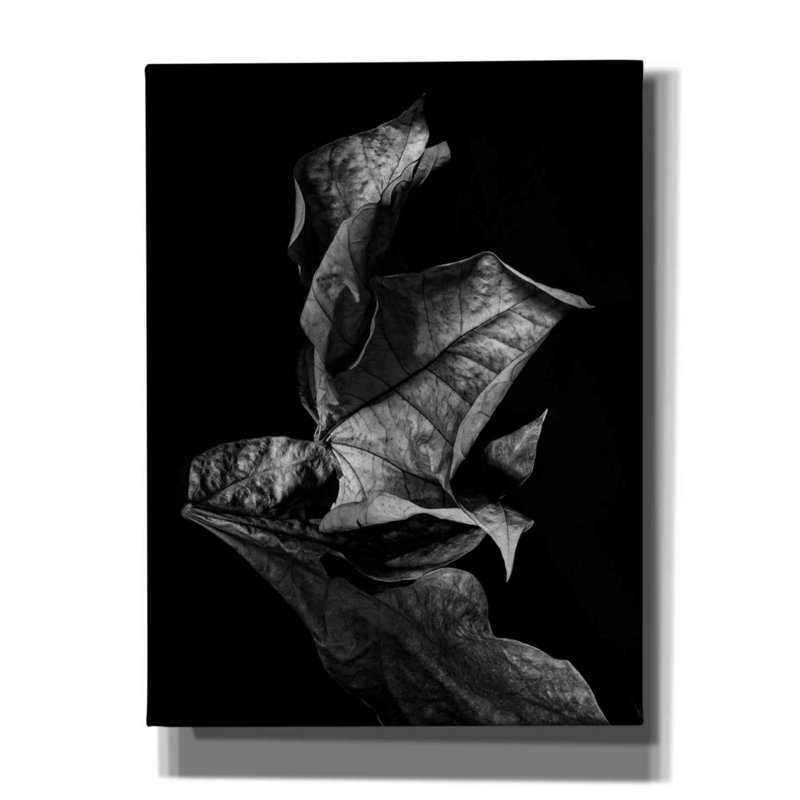 «Delynn Leaf Composition Dark on Canvas» par Design Fabrikken, reproduction, H 16 po x l 12 po x P 0,75 po