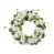 White, Green selected