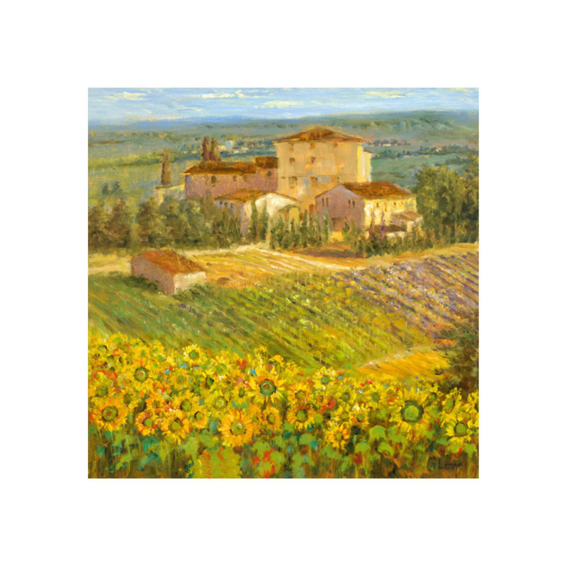Provencal Village III Print by Michael Longo, 24" H x 24" W, Outdoor
