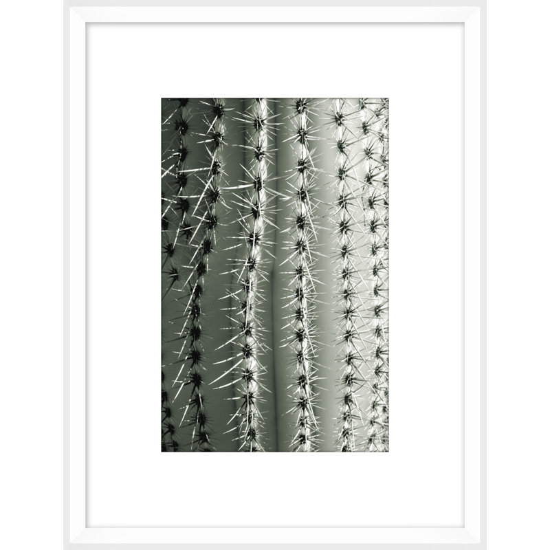 Silver Spike Small 2 Print by Christopher Kennedy