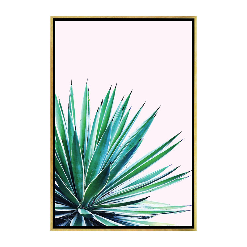 « agave love »-impression sur l’image, H 60 po x l 40po x P 1,5 po, Toile encadrée d'or