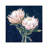 King Proteas by Isabelle Z - Painting on Canvas-1959026655-1959026644
