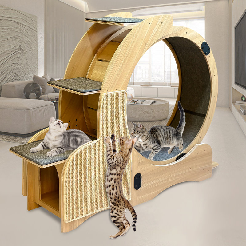 Aire de jeu pour chat en bois naturel