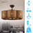 Baus 31.1'' Ceiling Fan with LED Lights