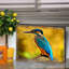 Bloc de bois Giffin Bird-1861448219