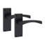Latch Handle with Backplate