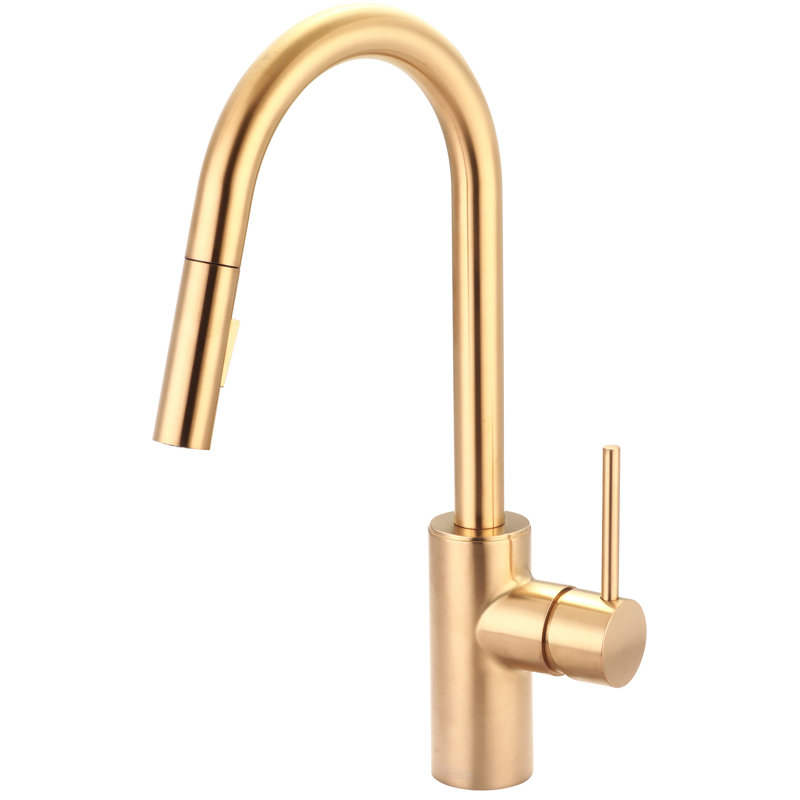 Pioneer Motegi Pull Down Kitchen Faucet, Brushed Gold
