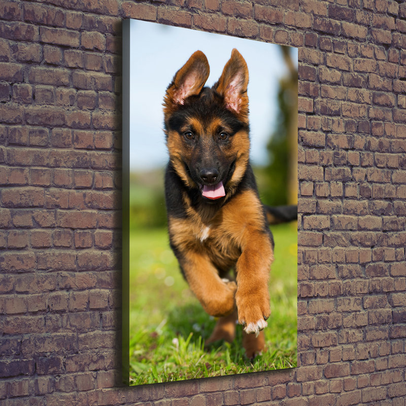 German Shepherd - Wrapped Canvas Print