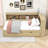 Twin Daybed with 2 Drawer and Cabinets and USB-2062345994