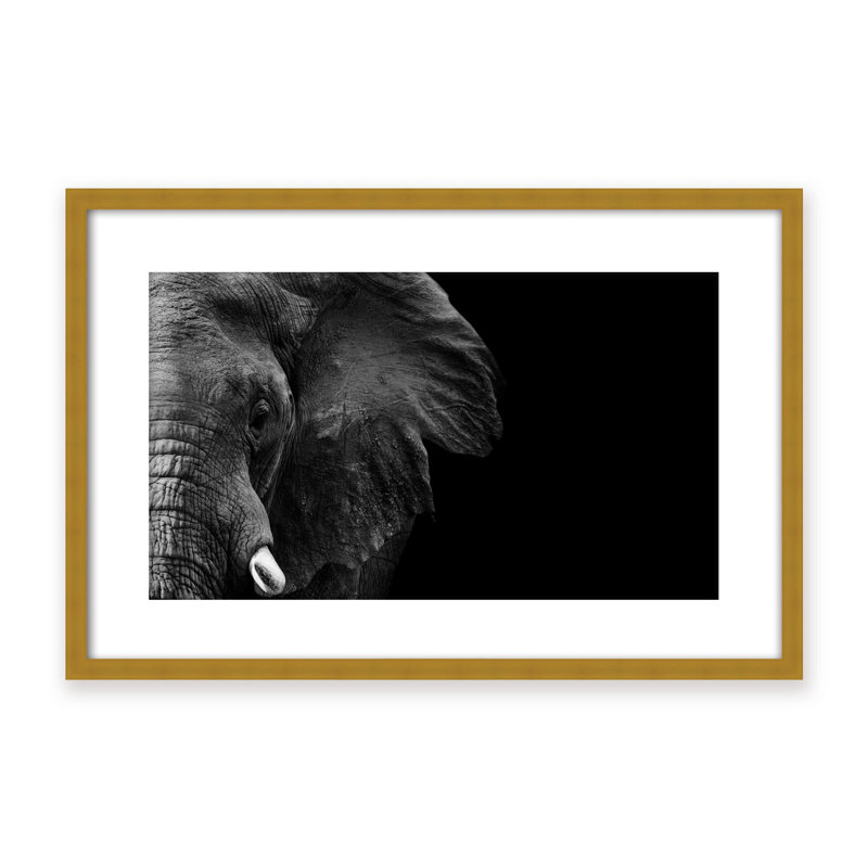 Nature Inspired Elephant by  - Picture Frame Photograph on Paper, 24" H x 36" W x 1.125" D, Framed Matted Print, Black