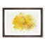 Sole Yellow Daffodil in Abstract - Picture Frame Painting Print-55726430-55726432