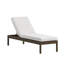 Chaise Lounge-1451815105