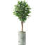 Arbre artificiel dans un pot de fleurs moderne, faux arbre en soie ficus (décoration en pot et arbre)-86407215-116650737