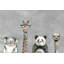 1 Piece Wrapped Canvas Painting-34960262