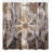 Dryden Shower Curtain with Hooks Included-21846728