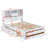 Oina Bookcase Bed-1520567142-1520567143
