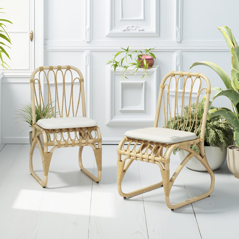 Chaises de salle à manger d'extérieur en osier jaune pe (ensemble de 2) - coussins lavables, structure en fer pour la cour arrière
