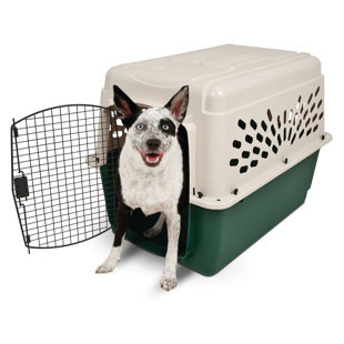 Support en plastique pour chien