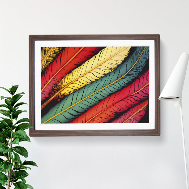 Colourful Bird Feathers Vol.1 - Framed Print, 46cm H x 64cm W x 2cm D, Walnut