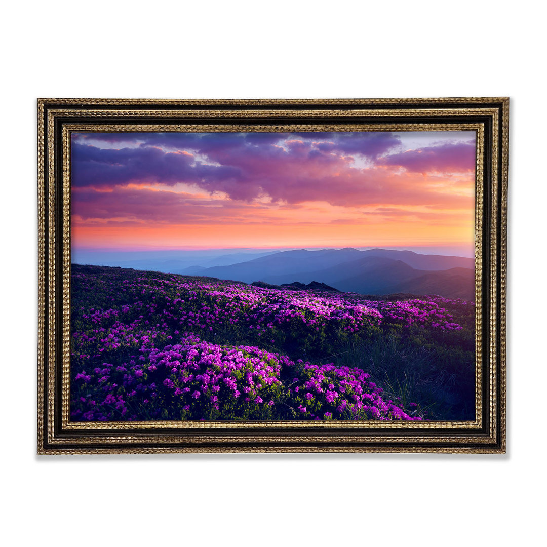 Purple Meadow Mountains - Druck