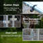 Metal Outdoor Dog Kennel-92953061