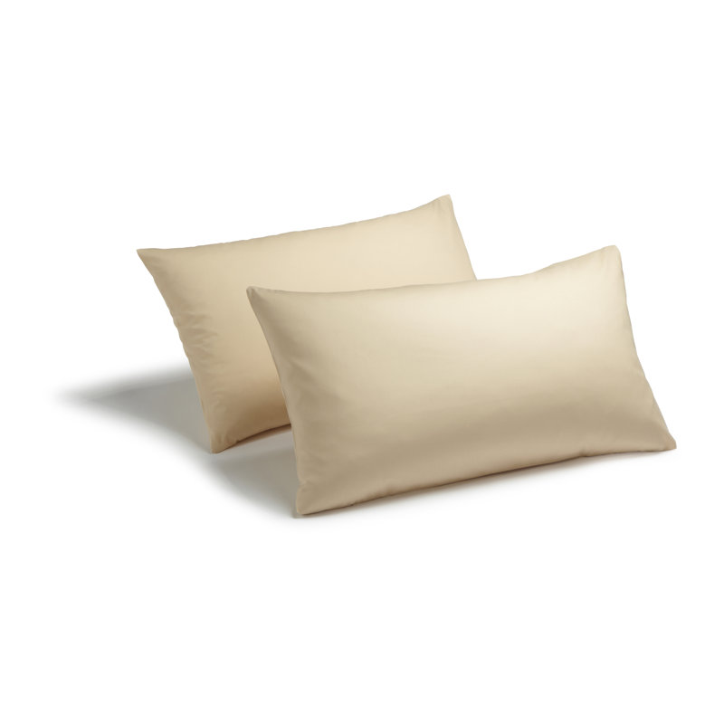 Izyan Cotton Blend Standard Pillow Case, Biscuit