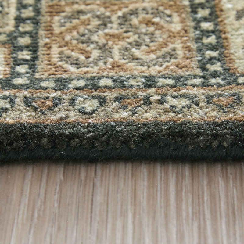 Namche Transitional Bordered Area Rug, Rectangle 4' x 6'