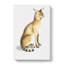 Allied Cat - Wrapped Canvas-55368851