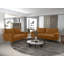 Drus 2 - Piece Velvet Living Room Set