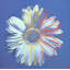 Marguerite, c.1982 (bleu sur bleu)-2127392574