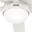52" Aerodyne 5 - Blade Smart Standard Ceiling Fan with Lights and Remote-70982241