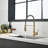 FLG Pull Down Kitchen Faucet