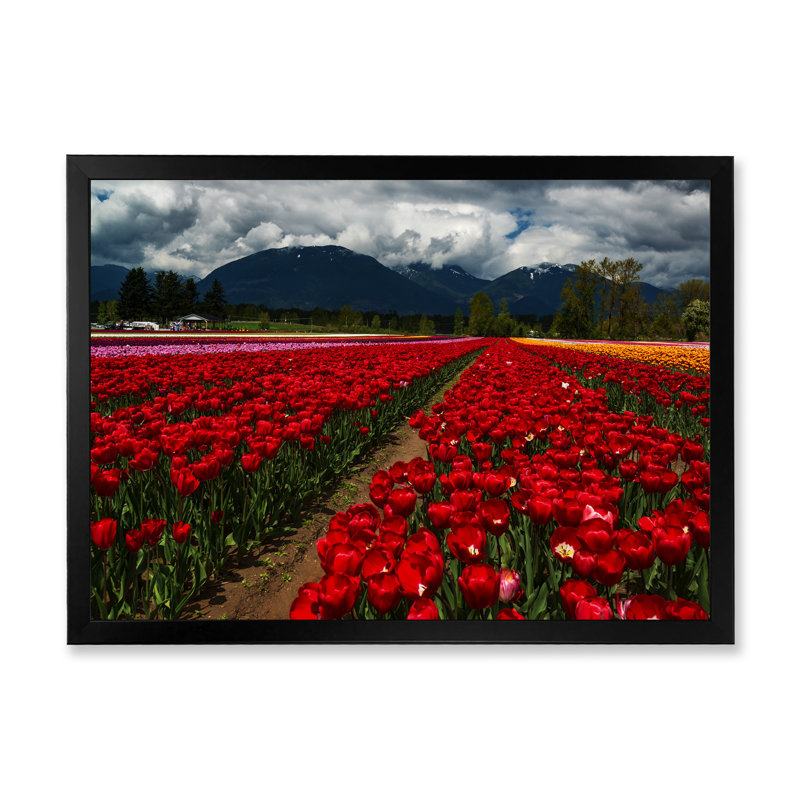 Tulipes contre les montagnes sombres II - On, H 8 po x l 12 po x P 0,1 po, Toile avec cadre noir