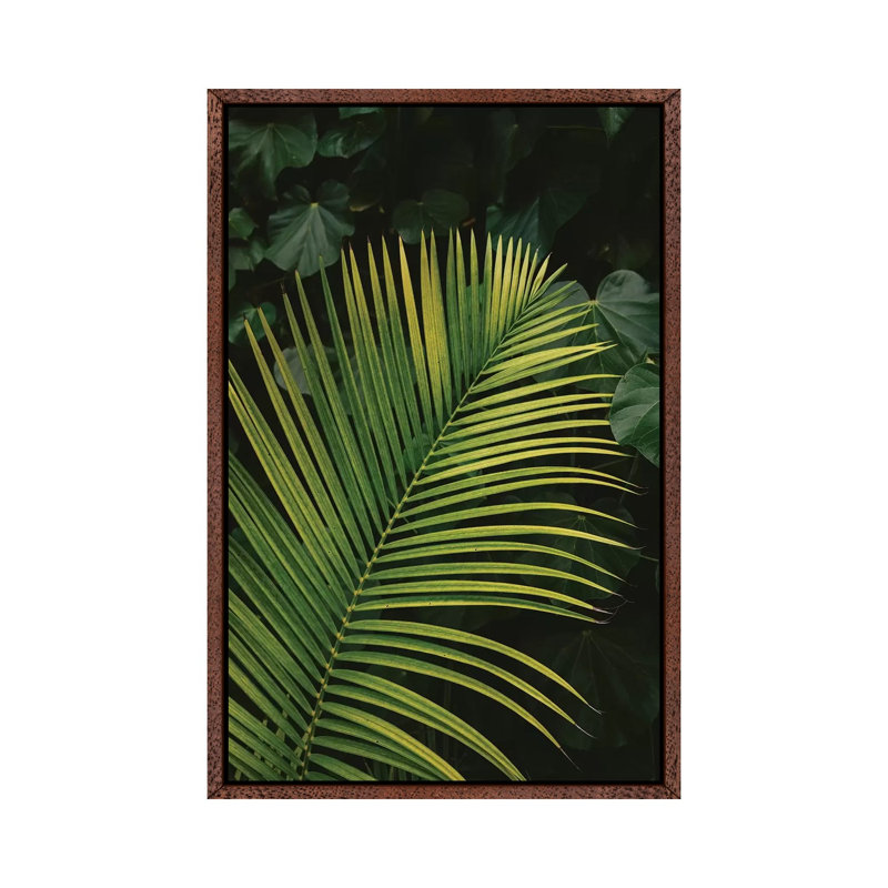 Tropical Hawaii II by Bethany Young - Print on Canvas, 101.6cm H x 66.04cm W x 3.81cm D, Classic Brown Wood Framed