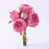 Rose profond