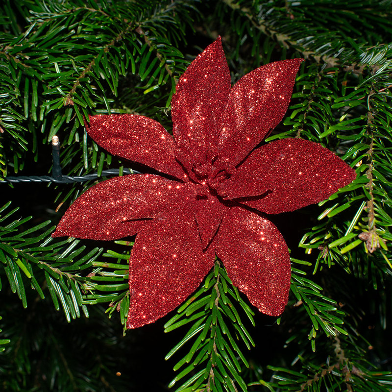 Angelicque Polyethylene (PE) Poinsettia Arrangement, Red