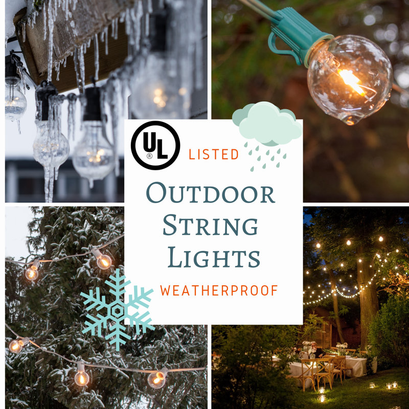 Alsip 50' Outdoor 50 - Bulb Globe String Light, Black
