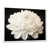 Cadre flottant blanc