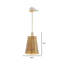 Luminaire suspendu 11 po / 1L Magalie